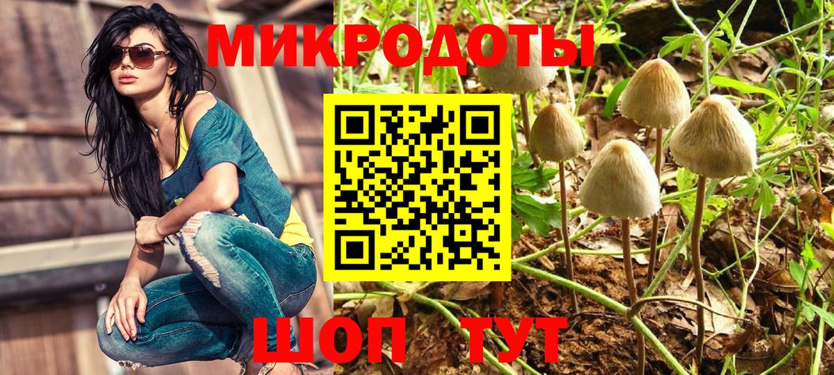 Галлюциногенные грибы Psilocybine cubensis  Вход с VPN  Кудрово 